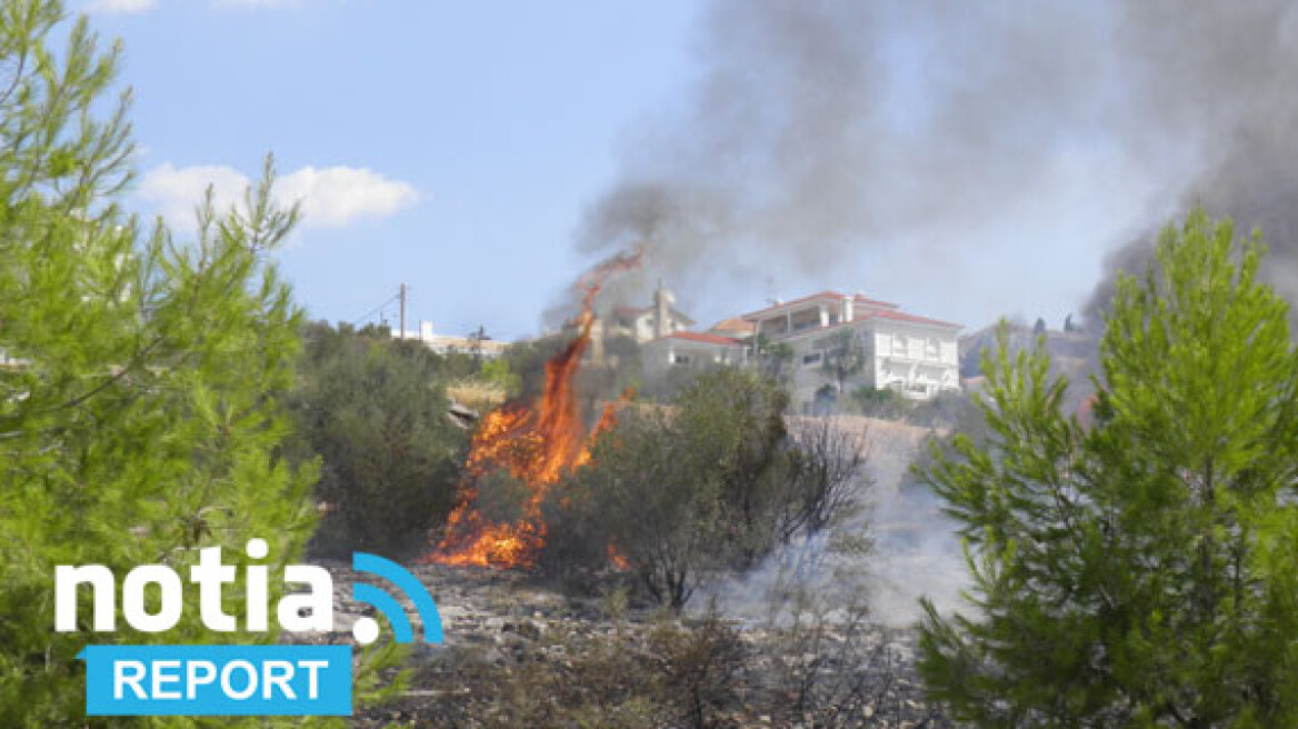 Βίντεο: Έτσι έσβησαν οι πυροσβέστες τη φωτιά στη Βούλα