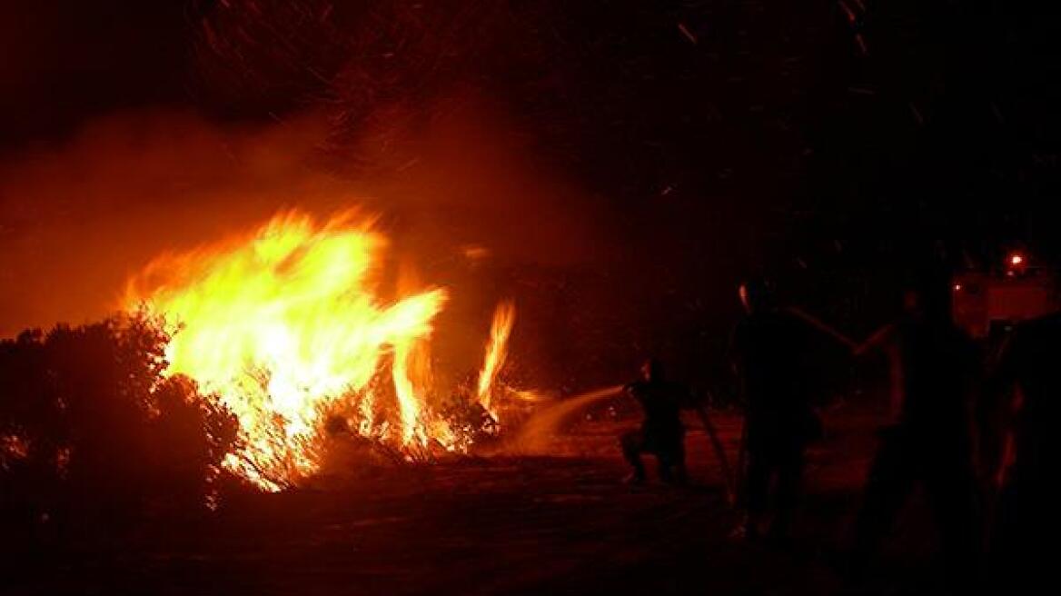 Φωτιά σε δασική έκταση στην Μαυροσουβάλα Ωρωπού