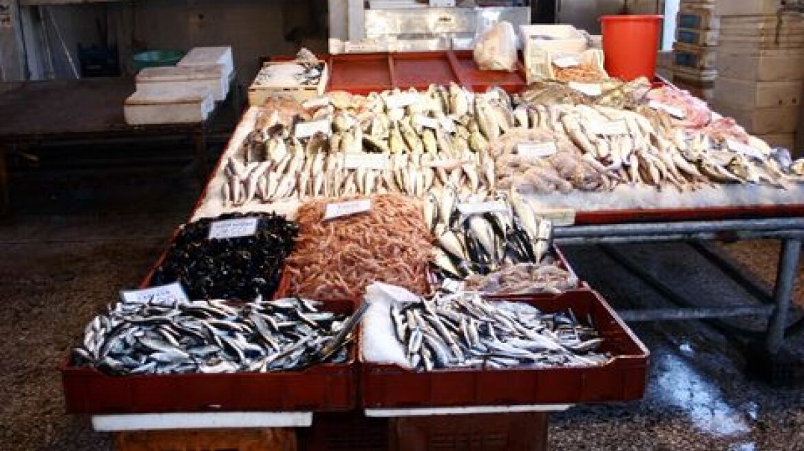 Δολοφονία σε ιχθυοπωλείο στην Ξάνθη - Βρέθηκε νεκρός ένας 56χρονος 