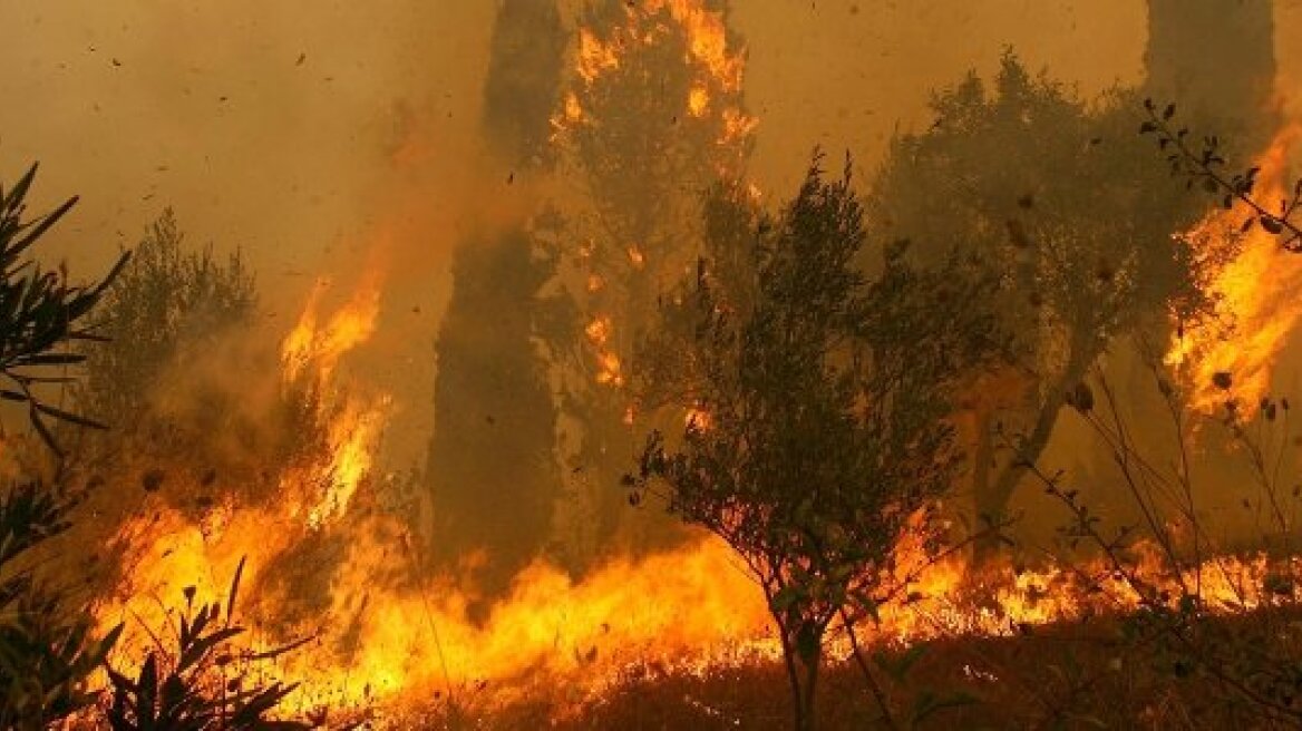 Υπό έλεγχο η φωτιά στον Σκιαδά Πρέβεζας