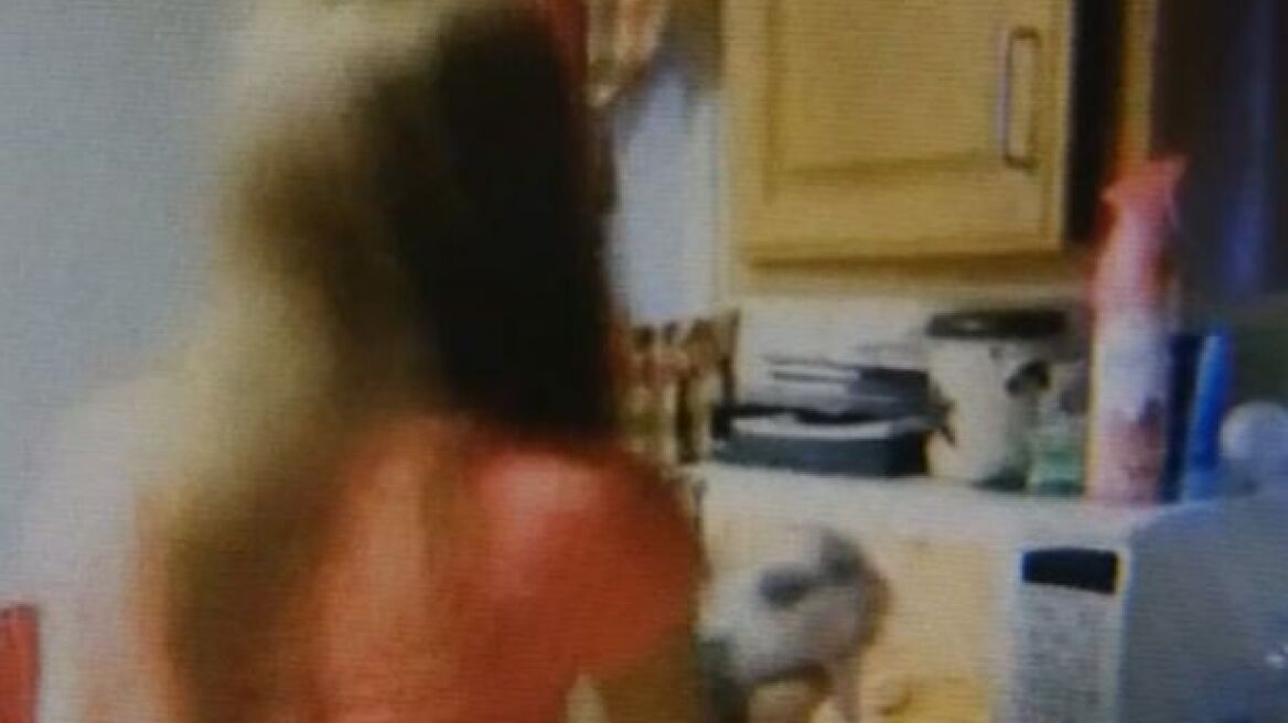 ΗΠΑ: Δύο 15χρονες έβαλαν γάτα σε φούρνο μικροκυμάτων!