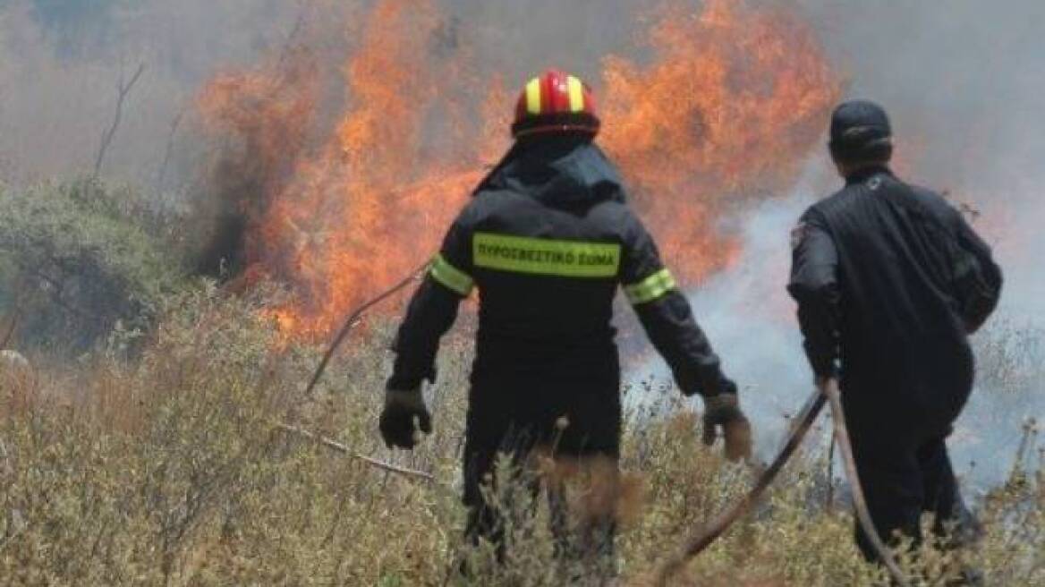 Θεσσαλονίκη: Υπό μερικό έλεγχο η πυρκαγιά στο Ωραιόκαστρο 