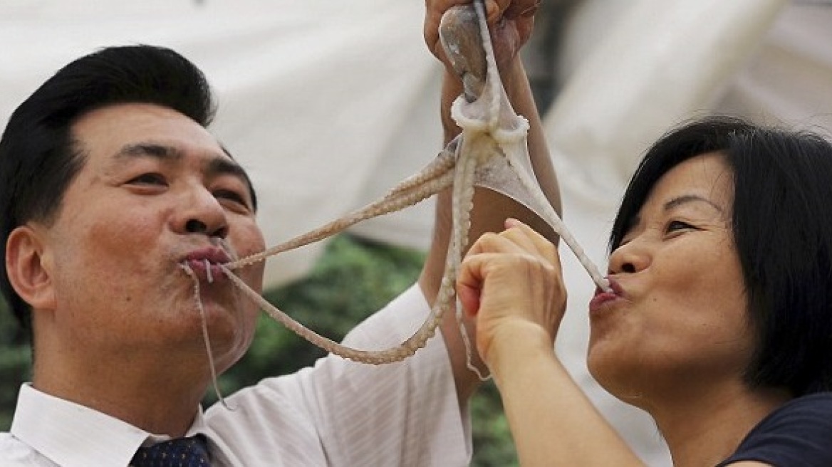 Δείτε Κορεάτες να τρώνε ζωντανά χταπόδια! 