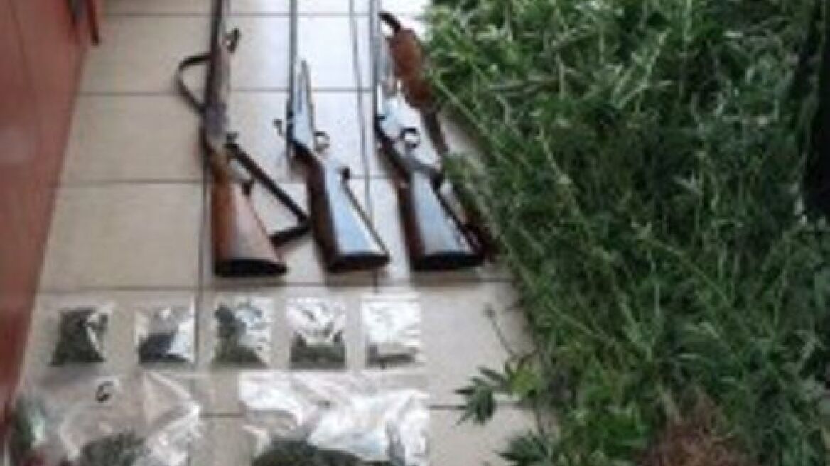 Χασισόδεντρα, όπλα και λαθραίος καπνός σε κτήμα στη Φαιστό