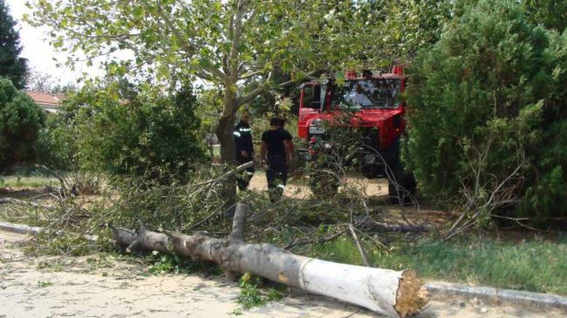 Ισχυρό μπουρίνι έπληξε την Ροδόπη