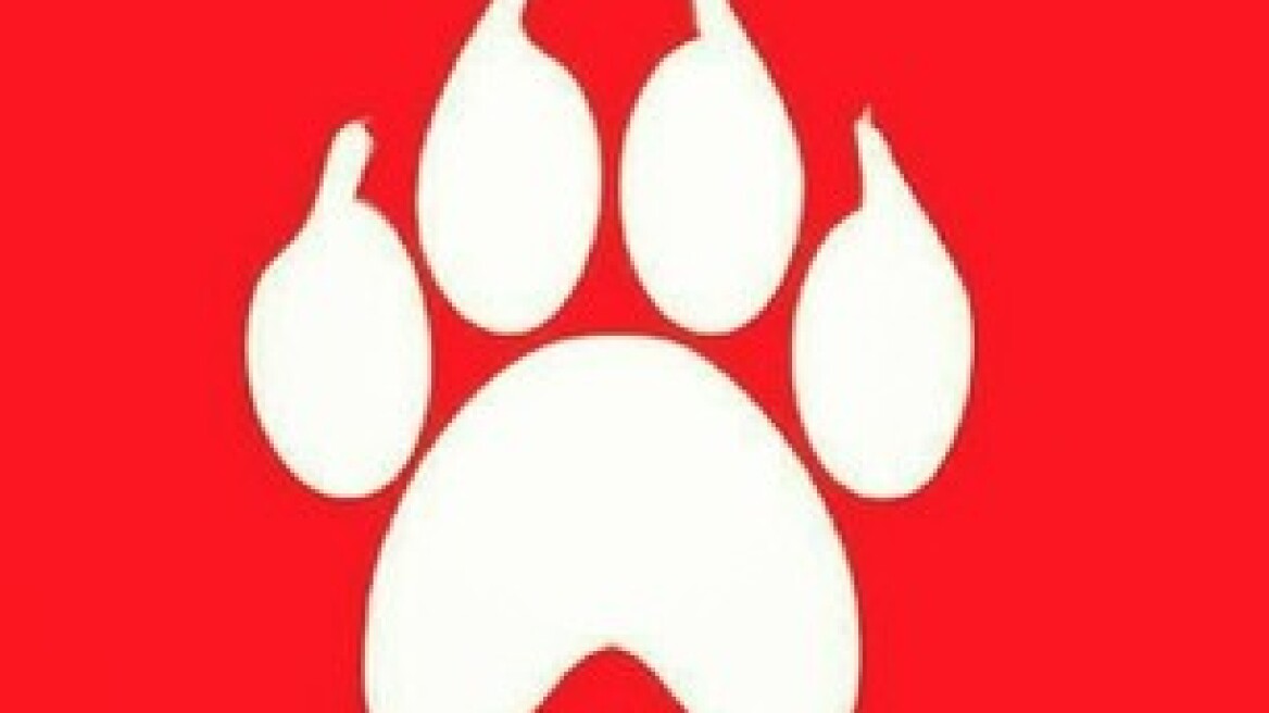 Σάλος με το ρουμανικό νόμο για ευθανασία σε αδέσποτα