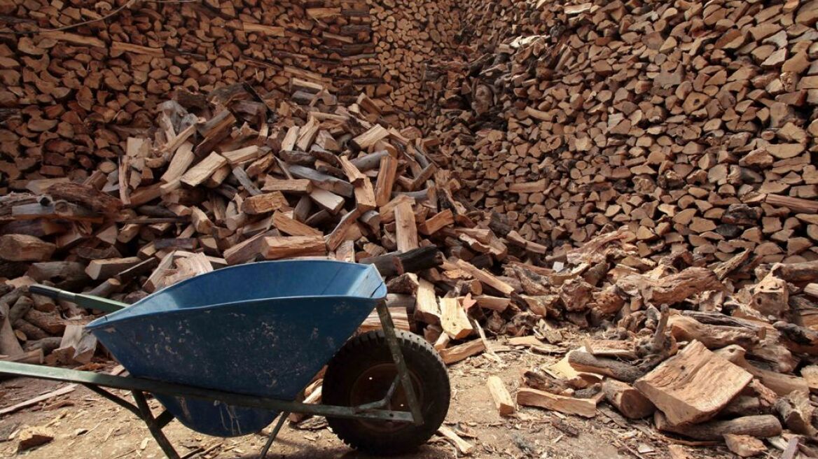 Έκαναν καυσόξυλα τα ξένα πλατάνια!