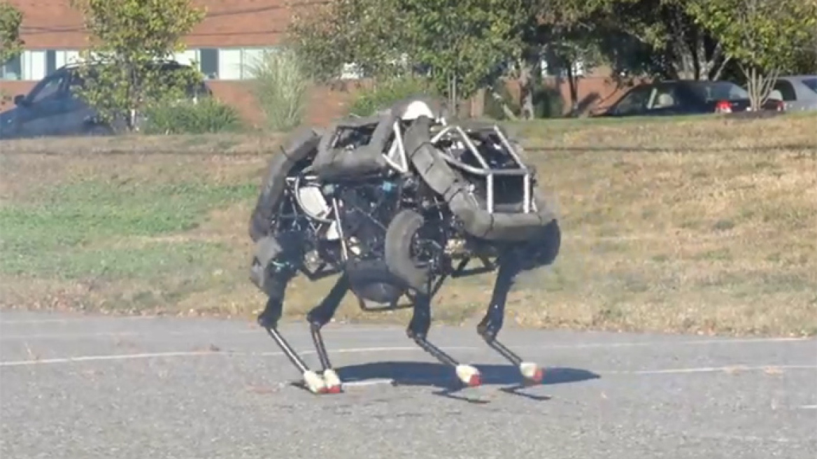 Η «αγριόγατα» το πιο γρήγορο ρομπότ στον κόσμο!