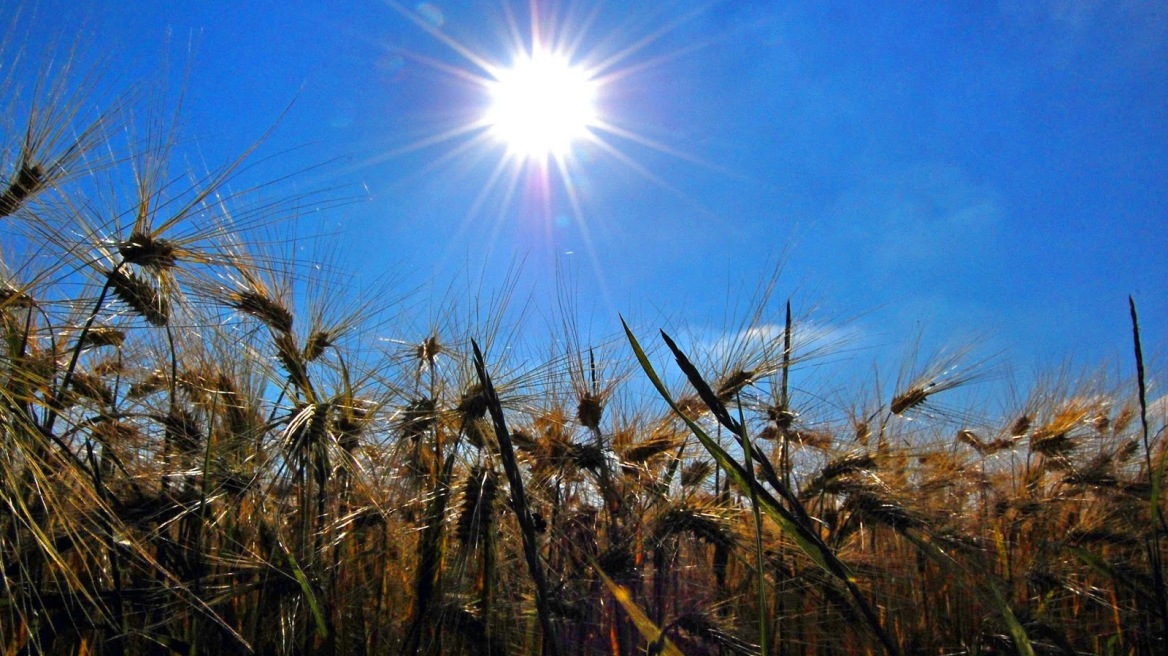 Καλοκαιρία έως 25 βαθμούς σήμερα