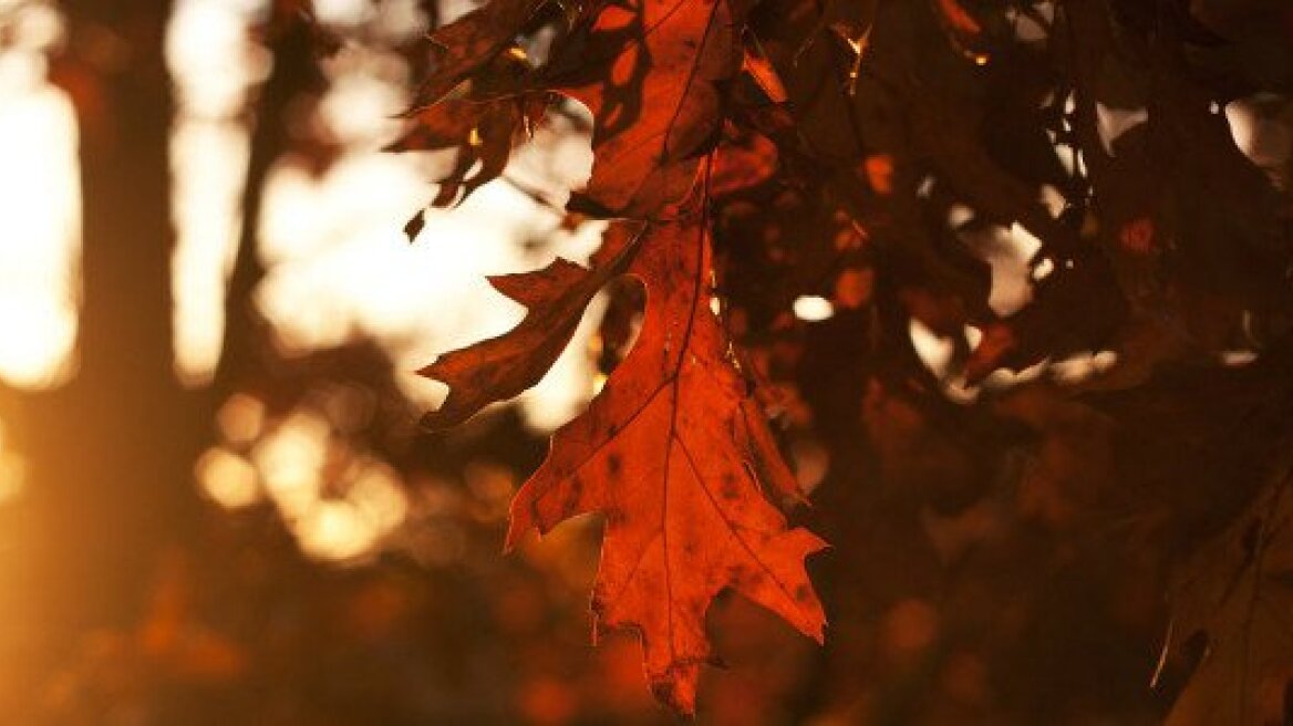 Ηλιοφάνεια και υψηλές για την εποχή θερμοκρασίες και σήμερα 
