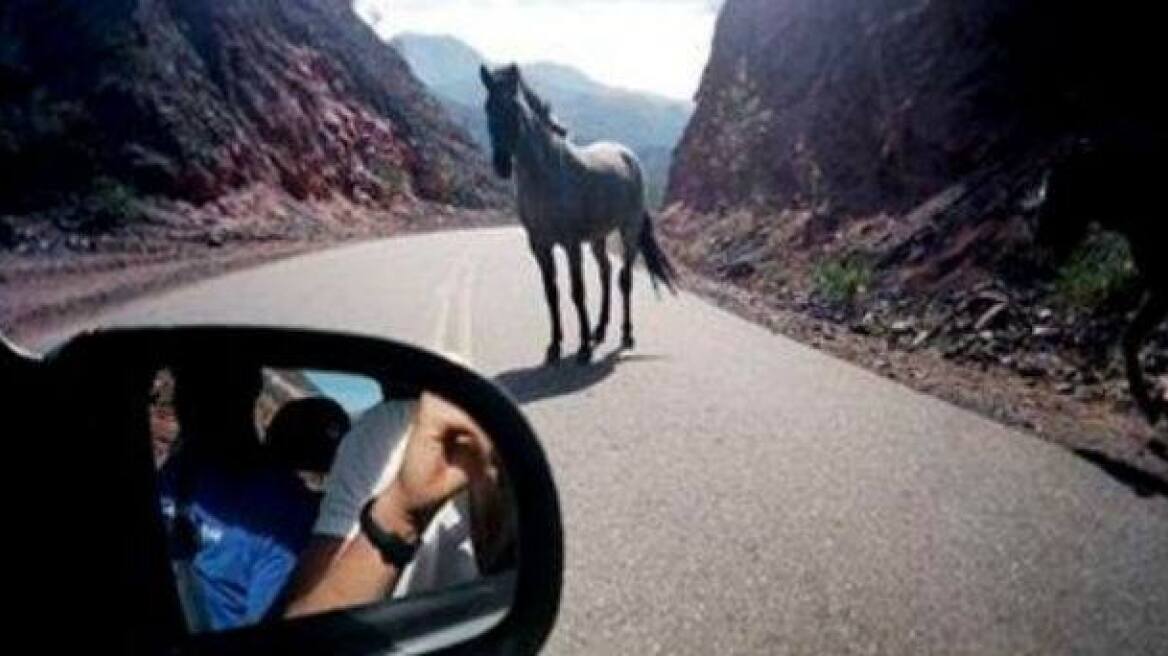 Ηράκλειο: Αυτοκίνητο τράκαρε με ...άλογο!