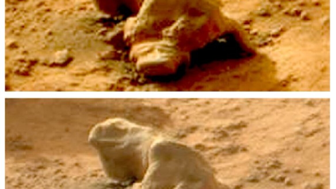 Ιγκουάνα στον Άρη;