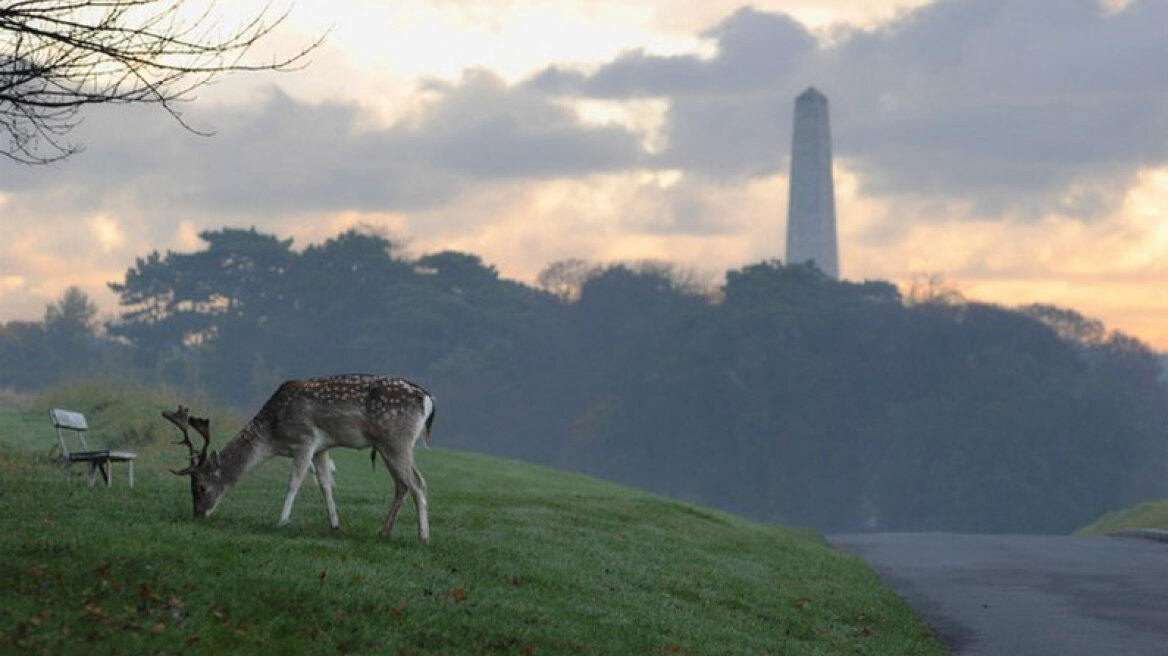 Φωτογραφίες: Τα 28 πιο πολύχρωμα πάρκα στον κόσμο