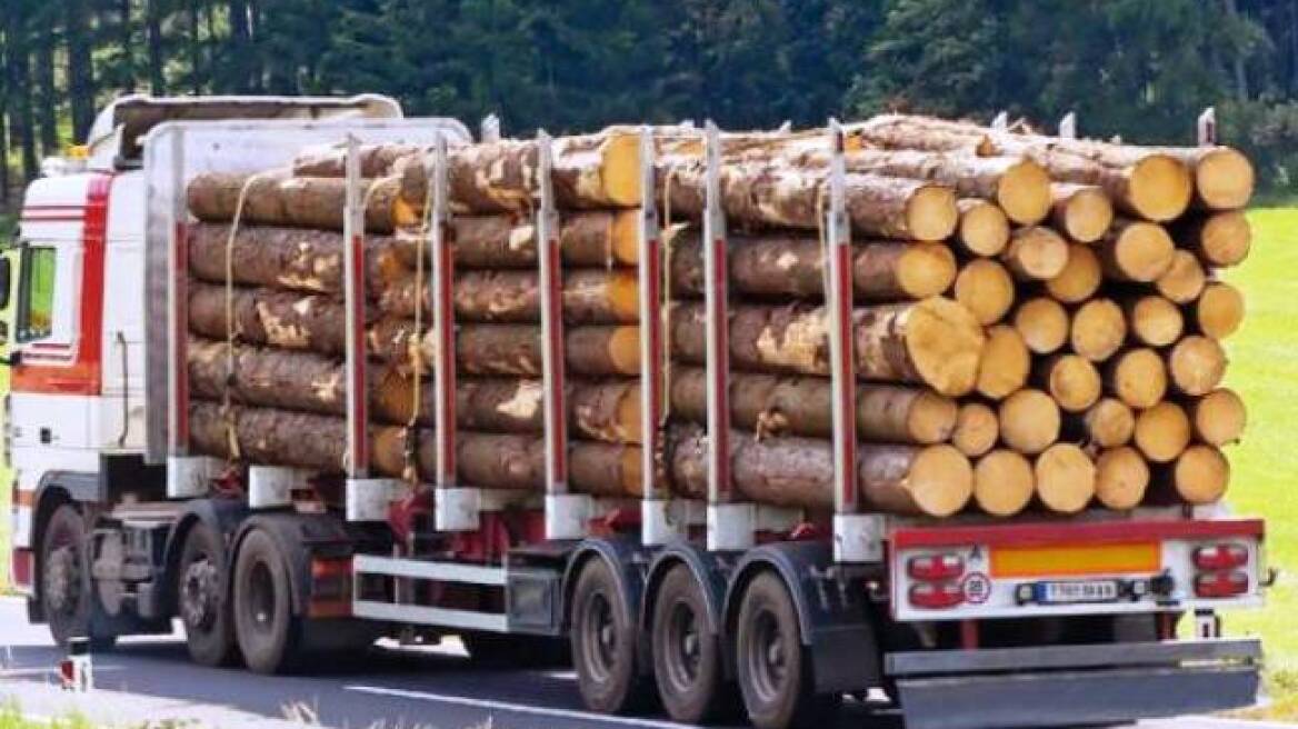 Μετέφερε παράνομα 4,5 τόνους ξυλείας!