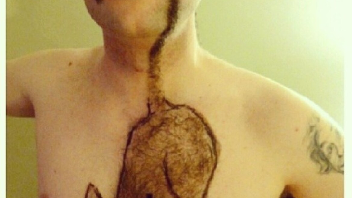 Τέχνη με τρίχες ή «τρίχες» τέχνη;