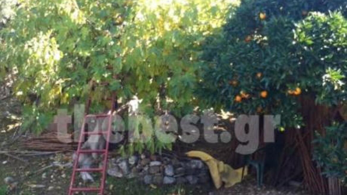 Πάτρα: Γυναίκα βρέθηκε απαγχονισμένη έξω από εκκλησία