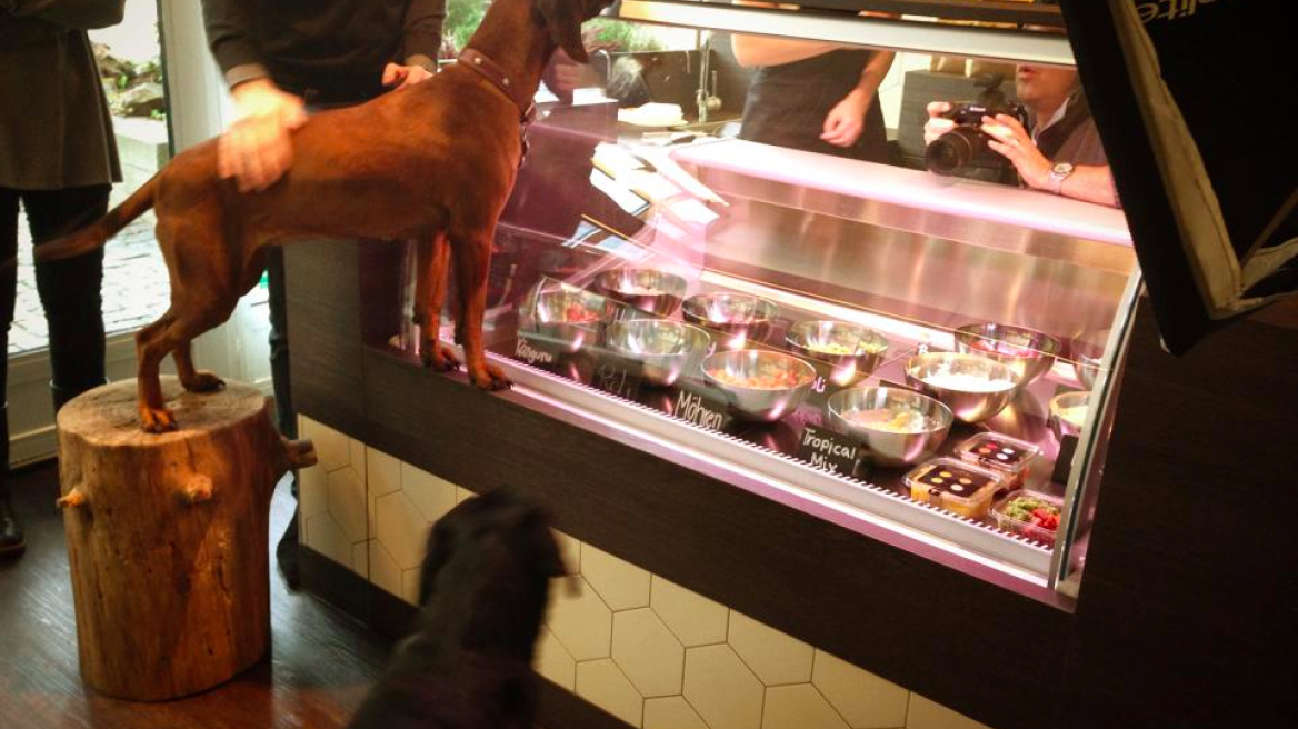 Pets Deli: Ενα εστιατόριο μόνο για σκύλους και γάτες στο Βερολίνο 