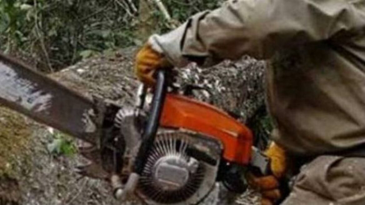 Ξάνθη: Επιτέθηκε σε αστυνομικούς με αλυσοπρίονο!