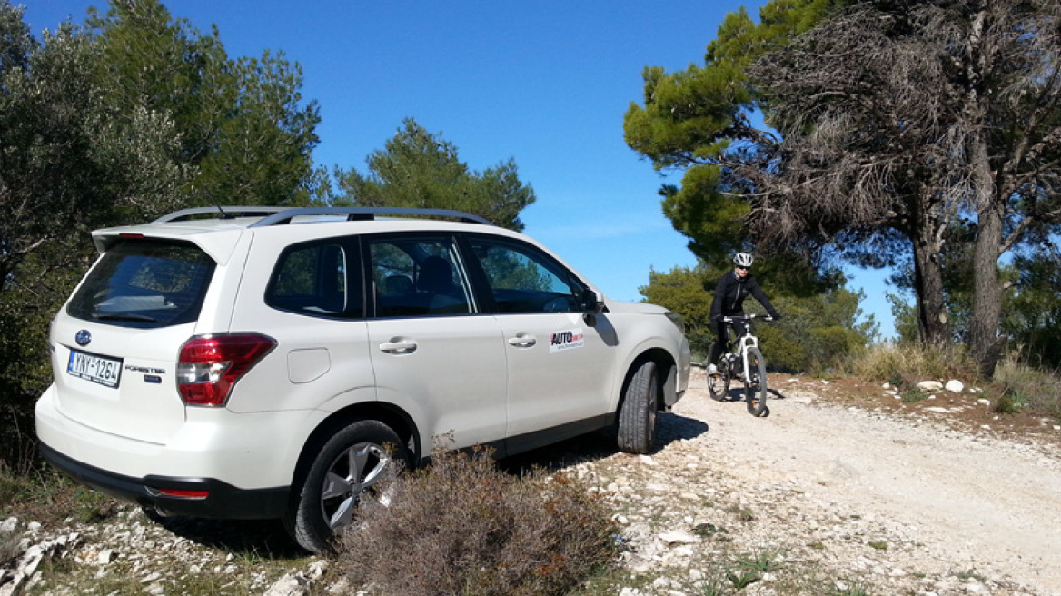 Μια βόλτα στο δάσος!