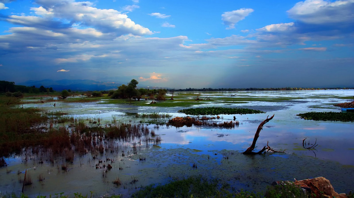 48 ώρες στη Λίμνη Κερκίνη 