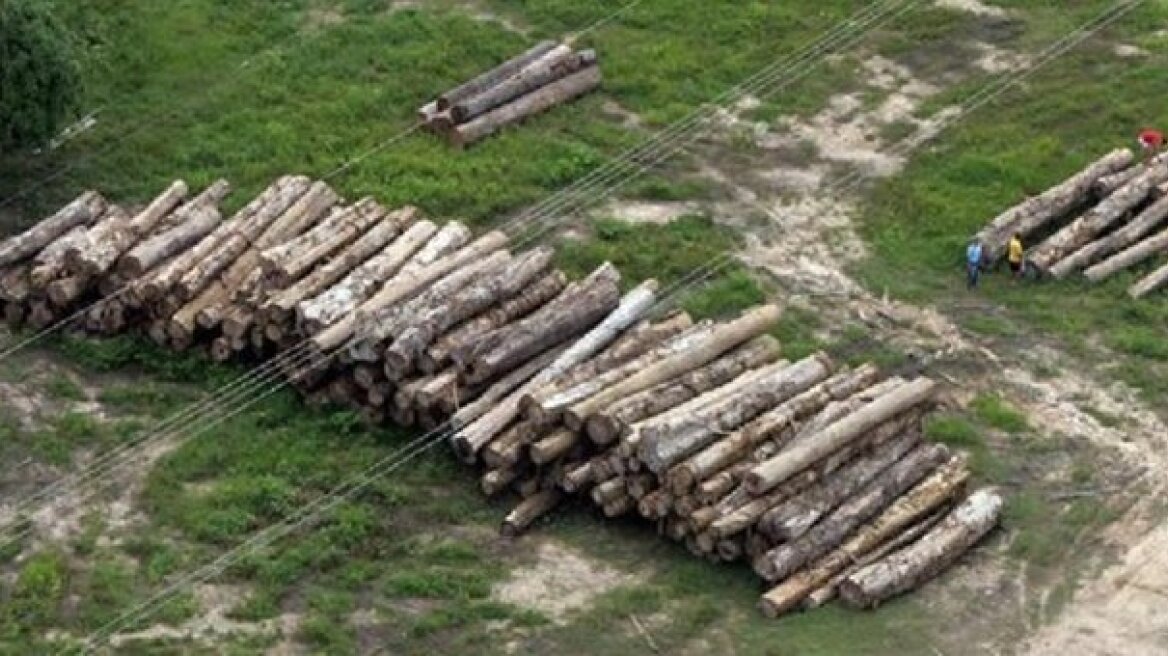 Αιτωλοακαρνανία: Λαθροϋλοτόμοι μετέφεραν δέκα τόνους ξυλείας