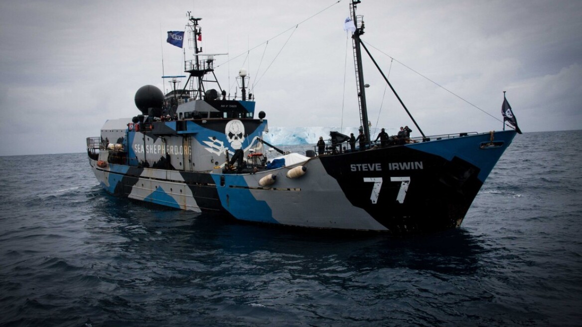 Η Sea Shepherd καταγγέλει εμβολισμό σκάφους της από ιαπωνικό φαλαινοθηρικό
