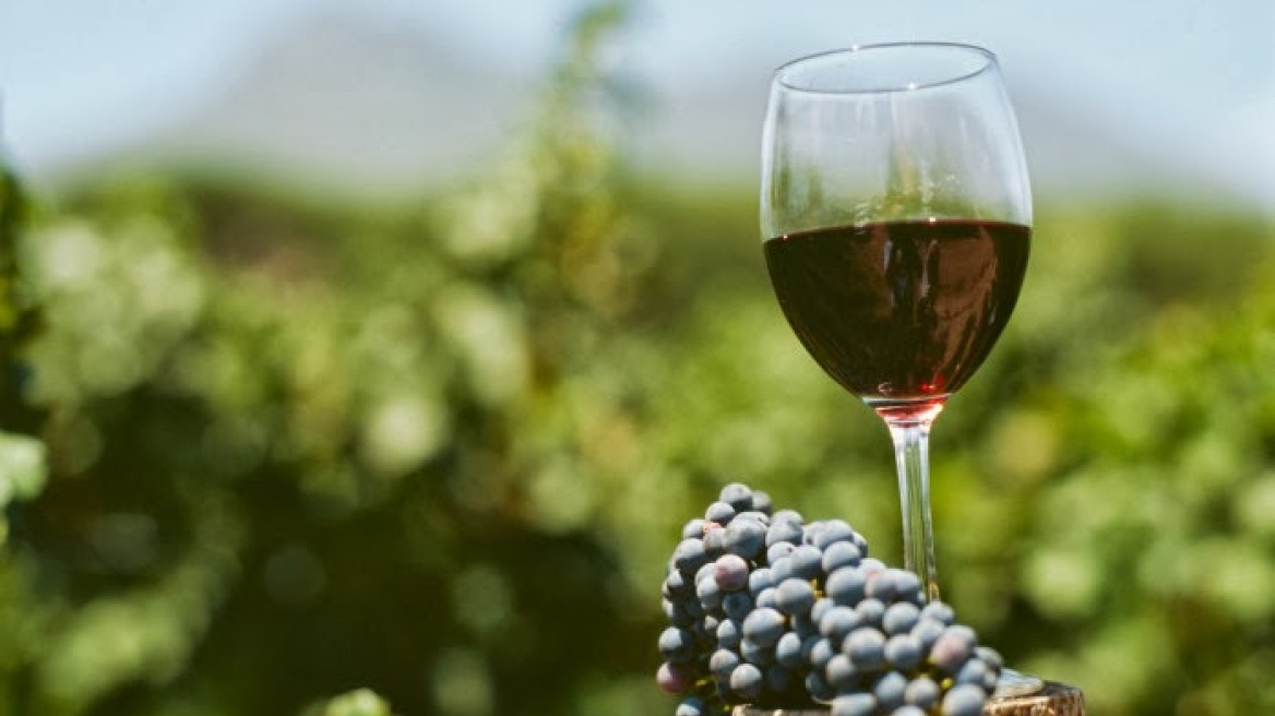 Νέο θεσμικό πλαίσιο για τους οίνους ΠΟΠ και ΠΓΕ