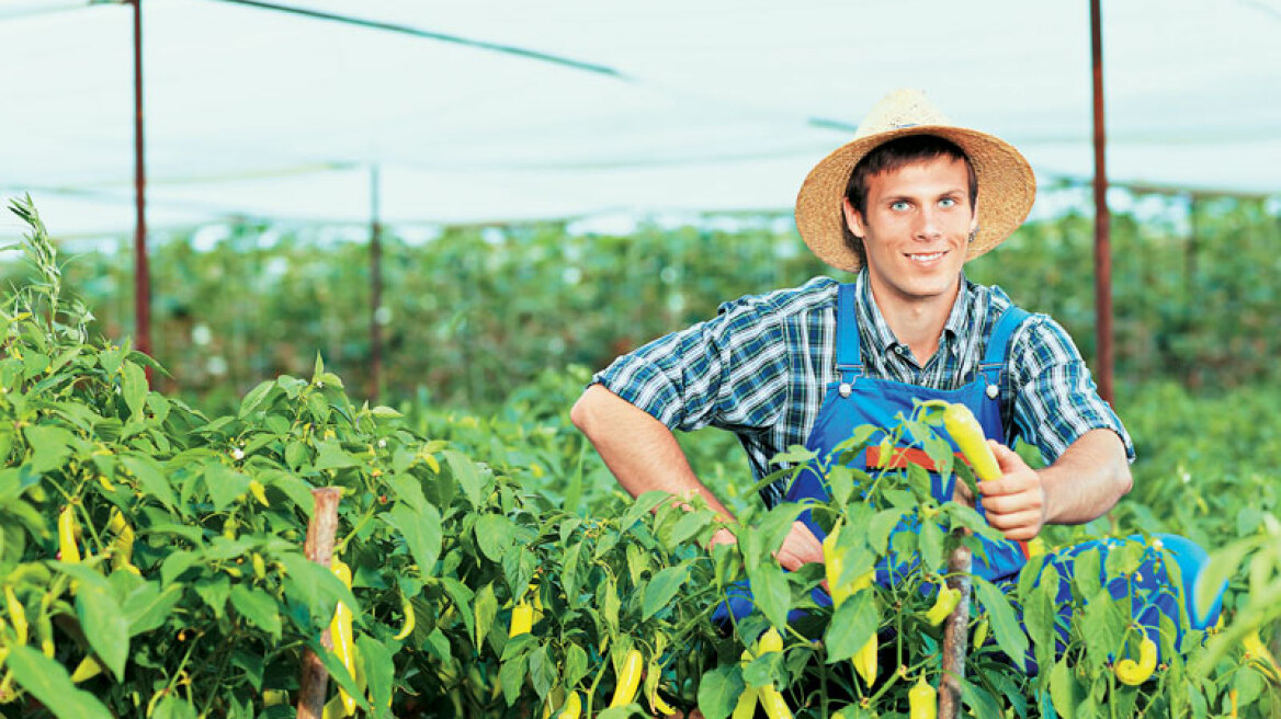 ΗΠΑ: Μεταρρύθμιση βάζει τέλος στις επιδοτήσεις των αγροτών