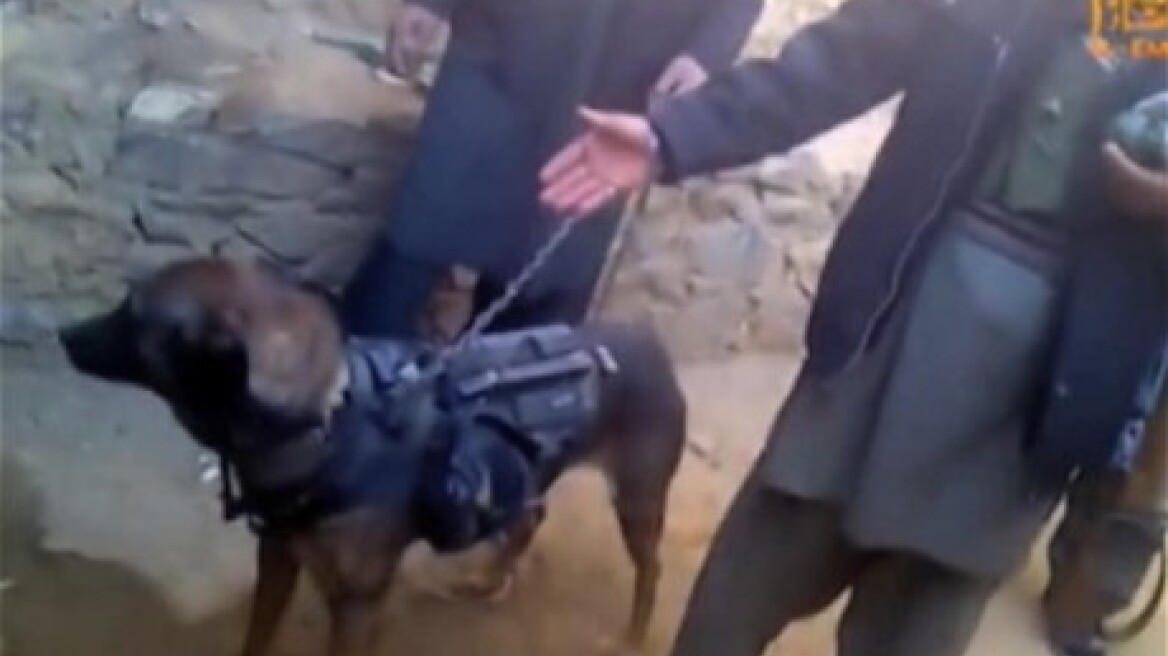 Αφγανιστάν: Ένα σκύλο κρατούν αιχμάλωτο οι Ταλιμπάν!