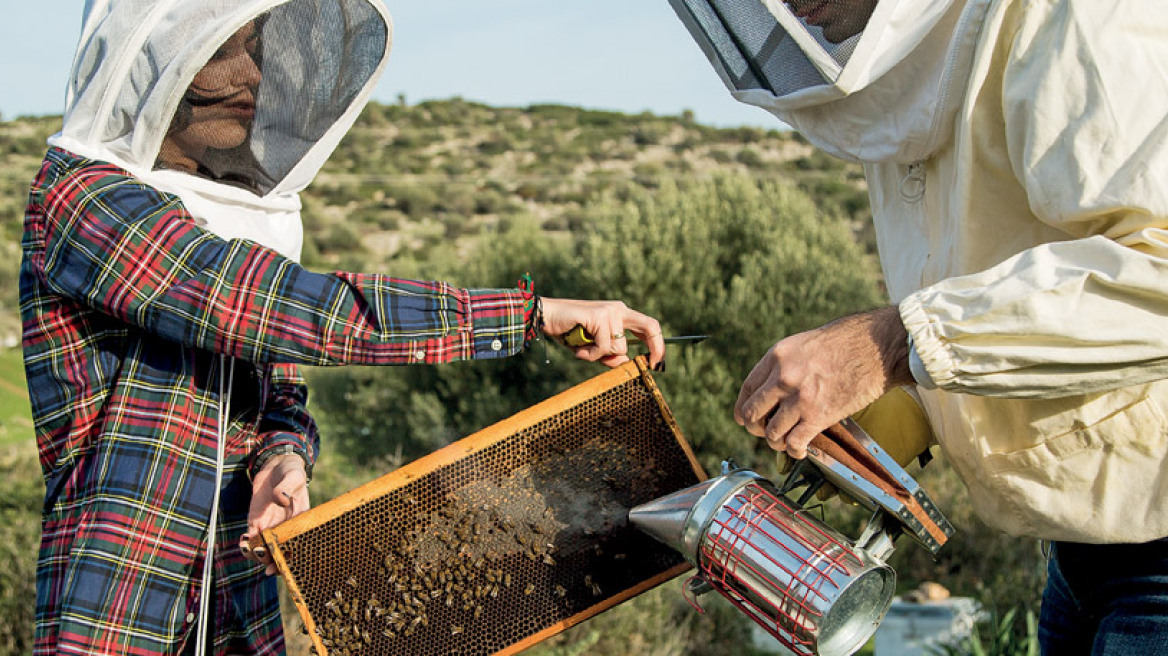  Όταν το ελληνικό μέλι διαπρέπει στο εξωτερικό!