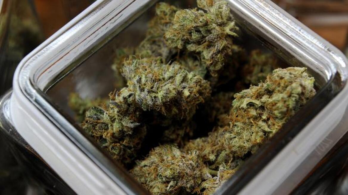 ΗΠΑ: Φοιτητής βούτηξε στο κενό αφού έφαγε μπισκότο με μαριχουάνα