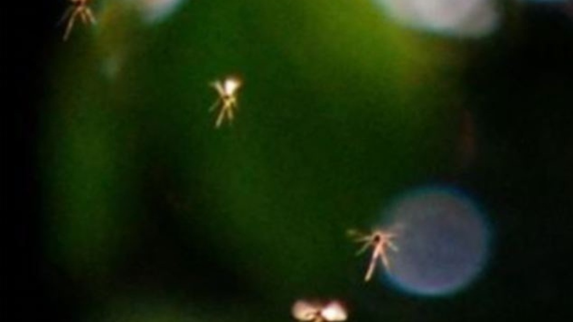 Φωτογραφίες: Μήπως οι νεράιδες υπάρχουν στα αλήθεια;