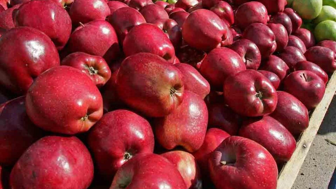 Δέσμευση μήλων από το Βέλγιο