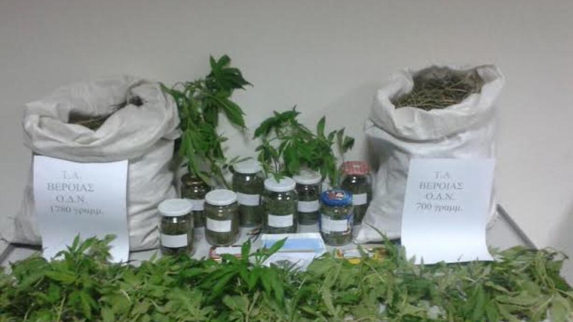 Βέροια: Με μπεκ πότιζαν την χασισοφυτεία πατέρας και γιος!