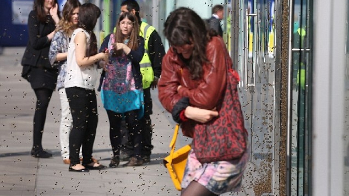Χάος στο κέντρο του Λονδίνου από σμήνος μελισσών 