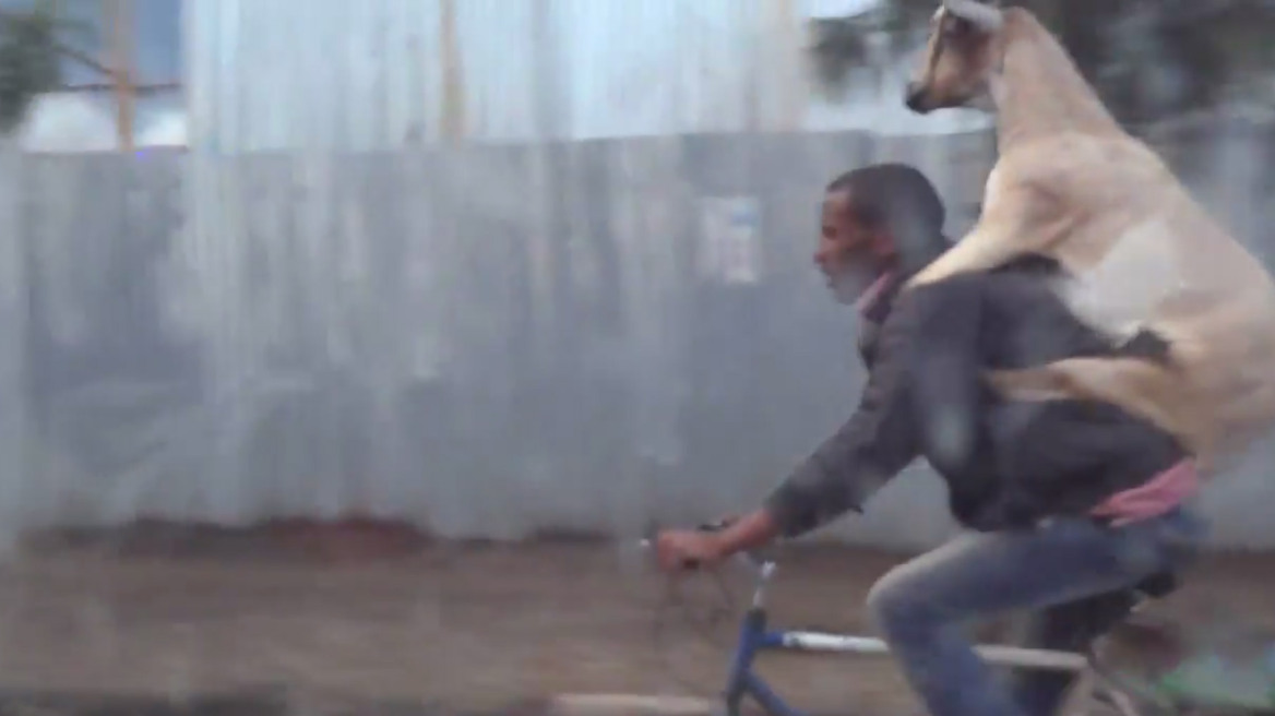 Αιθιοπία: Βγήκε βόλτα με το ποδήλατο και την... κατσίκα του!