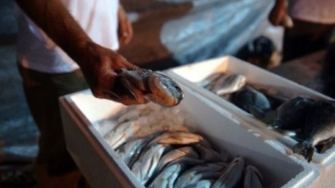 Έκλεψαν 70 κιλά τσιπούρες στην Αρτα