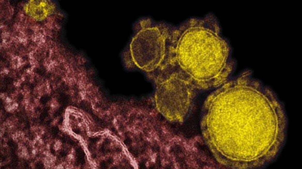 Στους 10 οι νεκροί από τον MERS στα Ηνωμένα Αραβικά Εμιράτα