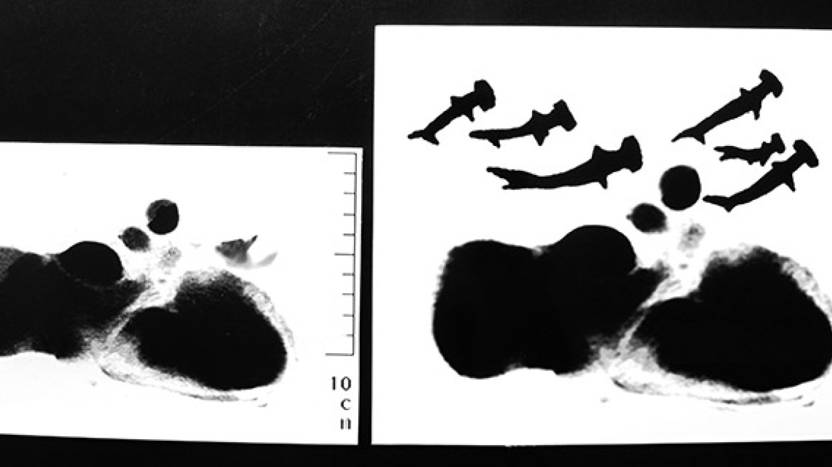 Μετρολόγος: Το τρίτο μέρος μίας εικαστικής τριλογίας