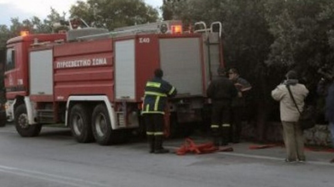 Χαλκιδική: 550 στρέμματα καμένα άφησε η φωτιά στον Αρμενιστή