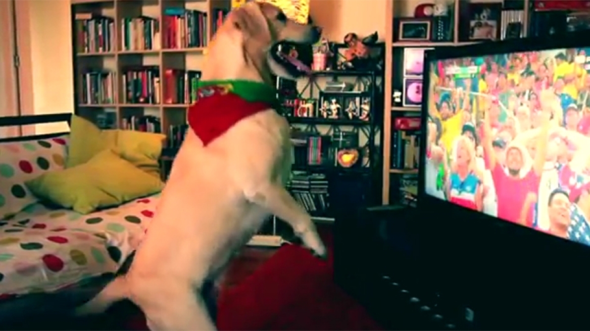 Βίντεο: Λαμπραντόρ πανηγυρίζει γκολ της Πορτογαλίας!