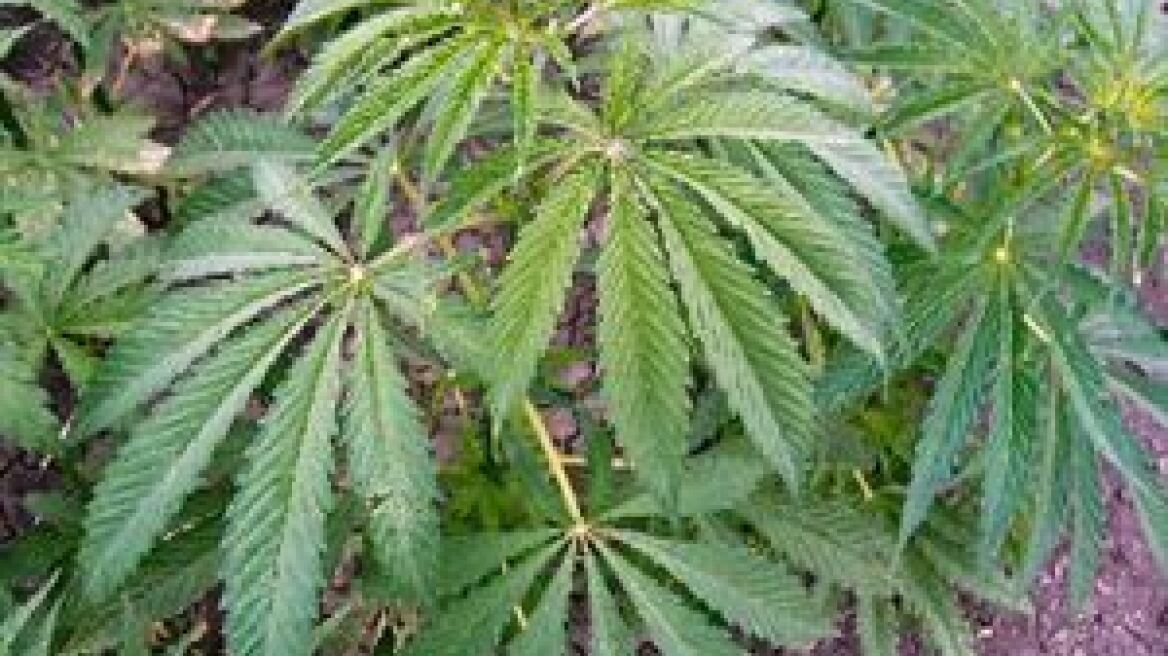 Ξάνθη: Στρατιωτικός έκρυψε σε ηχείο δυο κιλά χασίς 