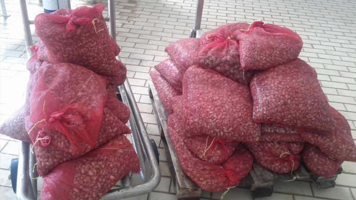 Κομοτηνή: Νέο φορτίο με επικίνδυνα όστρακα