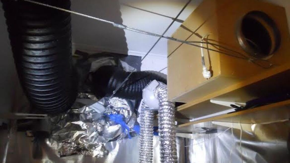 Χαλκίδα: Στο υπόγειο έκρυβε εργαστήριο... υδροπονικής κάνναβης