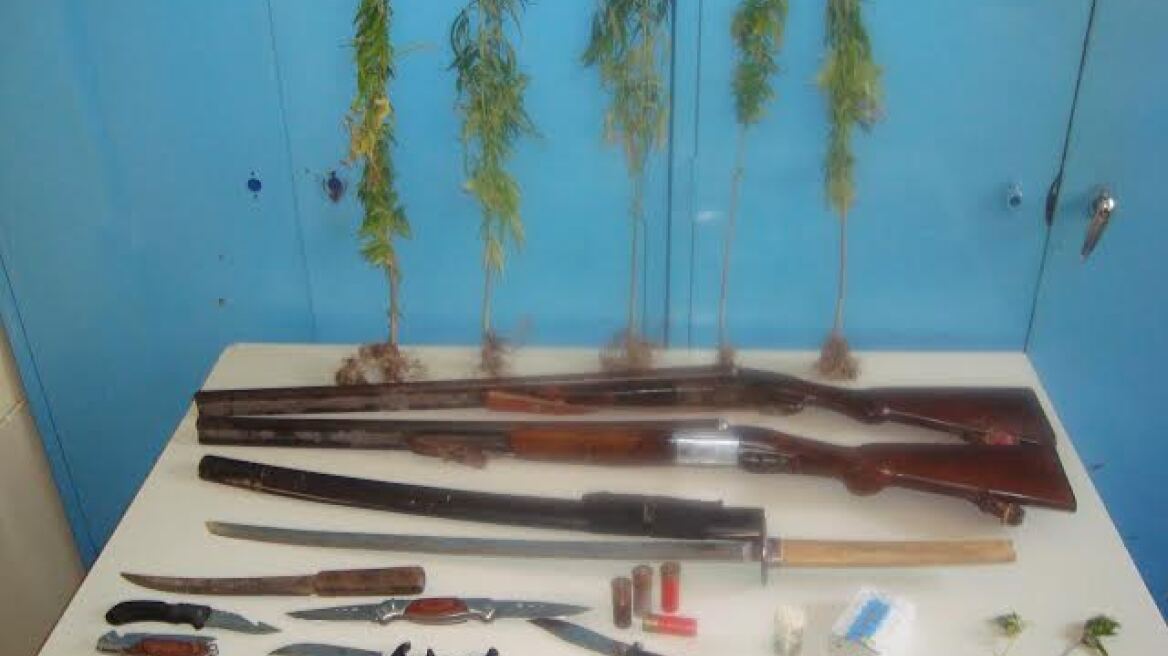 Χασισοκαλλιεργητής με σπαθιά και μαχαίρια στην Ικαρία!