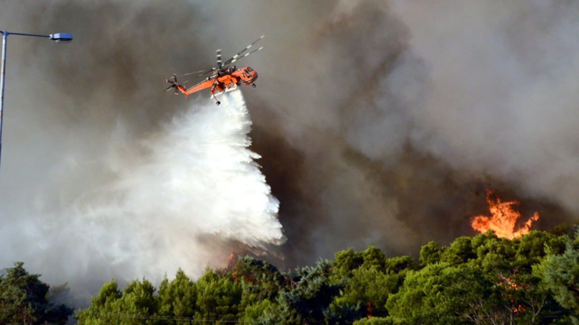 Φωτιά καίει πουρνάρια στο Στεφάνι Κορινθίας 
