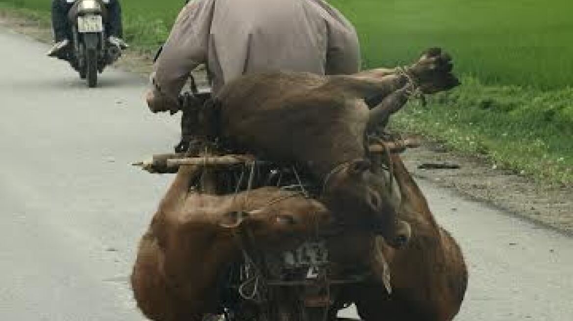 Η Πιπιλή ξαναχτυπά: Η απάντηση στη φωτό με το φορτηγάκι έρχεται από το Βιετνάμ