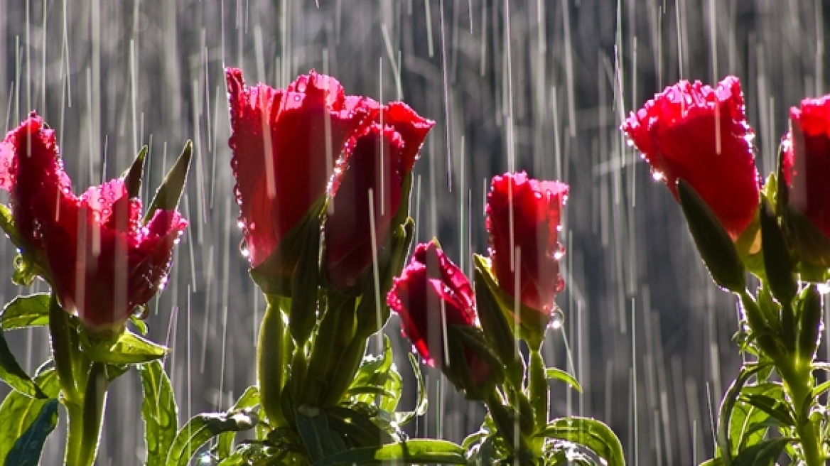 Ζέστη και... καταιγίδες σήμερα