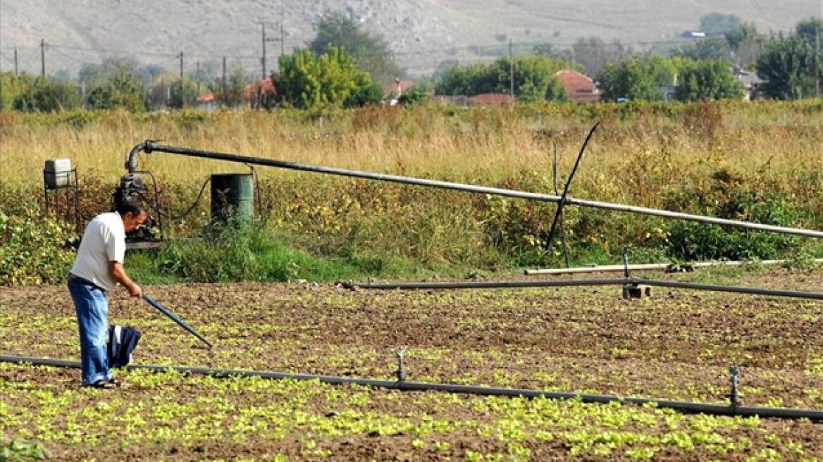 Αποζημιώσεις 60,5 εκατ. ευρώ σε 60.912 γεωργούς και κτηνοτρόφους     