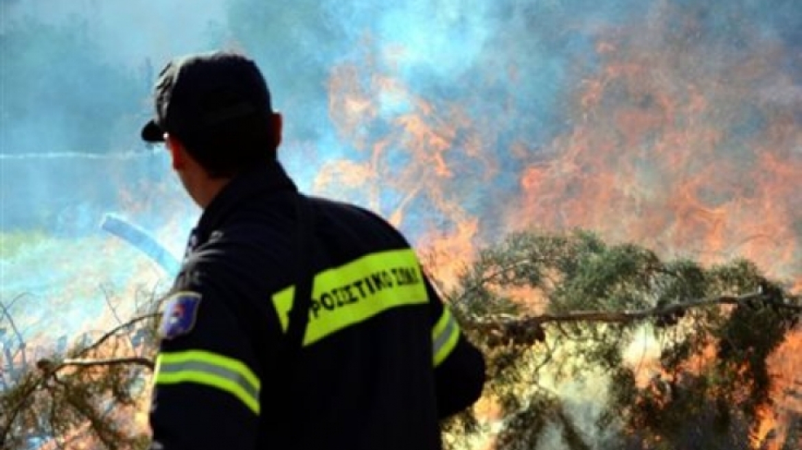 Έσβησε η φωτιά κοντά στην περιφερειακή οδό της Πάτρας